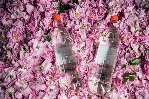 خرید گلاب اصل کاشان با قیمت تولید