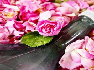 پخش عمده گلاب و عرقیات کاشان