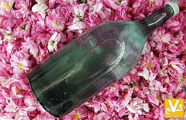 پخش عمده گلاب و عرقیات کاشان با قیمت عمده