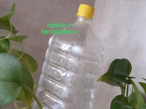 خرید عمده زنیان به صورت اینترنتی با قیمت عمده