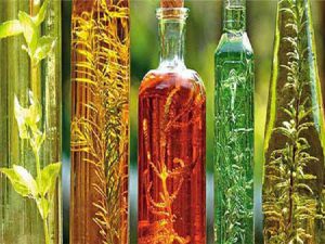 پخش عمده گلاب و عرقیات کاشان