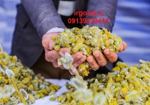 قیمت عمده عرق بیدمشک