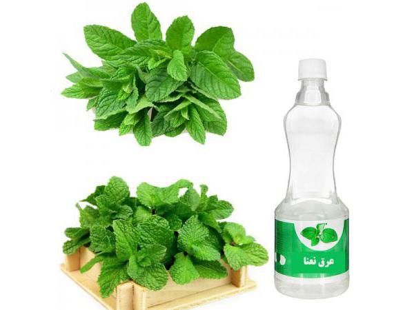 بهترین راه برای عرضه عرق نعنا