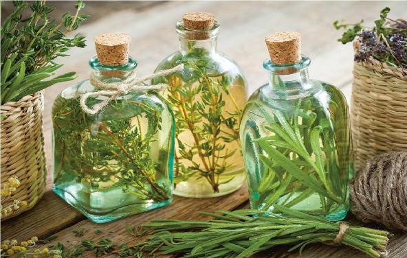 راهنمای تجارت عرقیات گیاهی