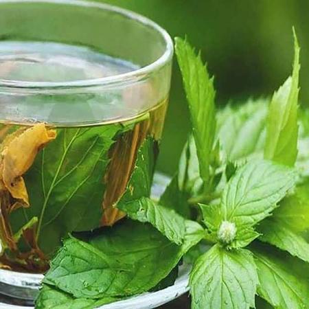 نکات مهم قبل از خرید عرق نعنا