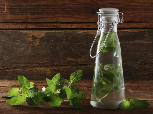 بهترین نوع بسته بندی برای فروش عمده عرق نعنا