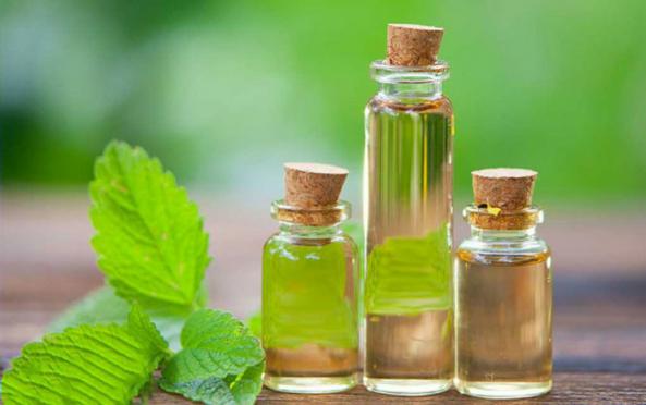 درمان کبد چرب با مصرف عرق نعنا