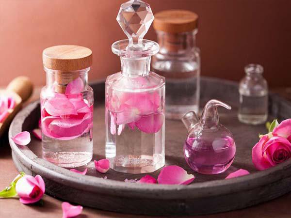 شرکت پخش عرقیات گیاهی مرغوب