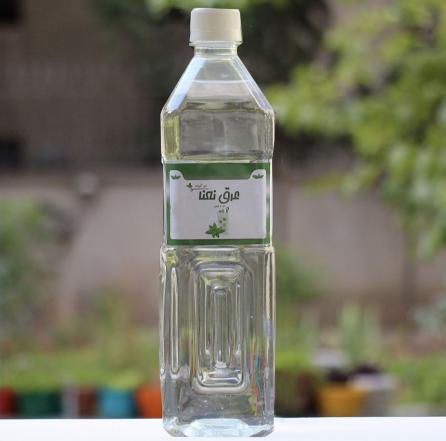 فواید مصرف عرق نعنا برای کودکان