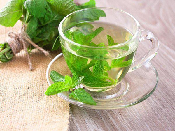 بررسی مراحل تولید عرق نعنا