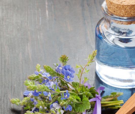 سفارش کلی عرقیات گیاهی