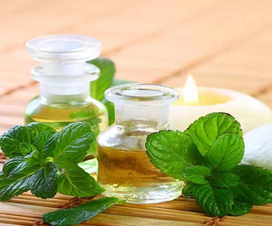 مرکز تولید عرق نعنا فلفلی