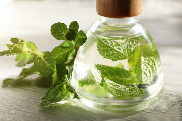 عرق نعنا درجه یک چه ویژگی هایی دارد؟