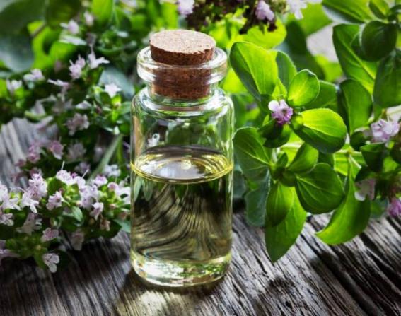 خرید بی واسطه عرق نعنا اصل