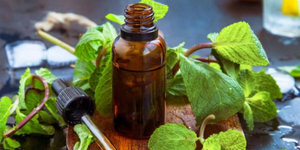 درمان گرفتگی سینوس با مصرف عرق نعنا