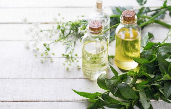 بهترین روش برای تولید عرق نعنا