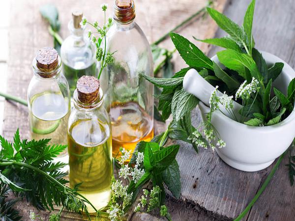 بازار پخش عرقیات گیاهی عمده