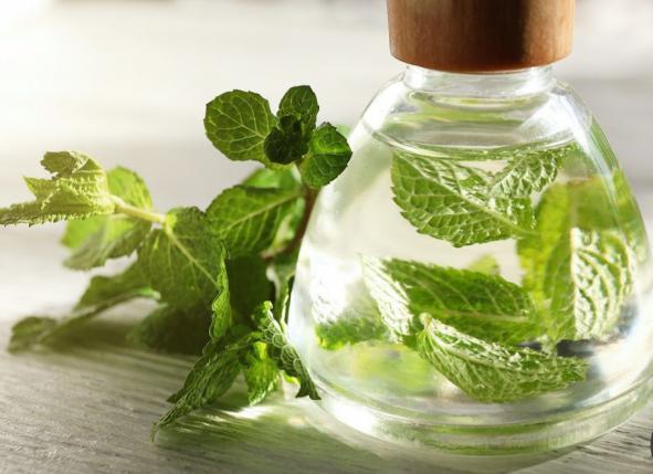 ویژگی برتر عرق نعنای فلفلی چیست؟