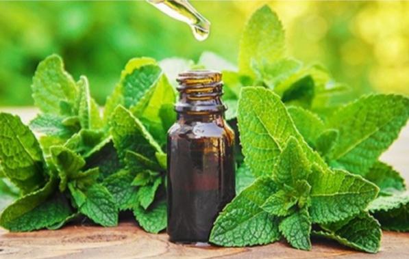 تاثیر مصرف عرق نعنا برای شفاف شدن پوست بدن