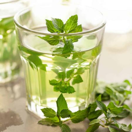 حفظ سلامت پوست با مصرف عرق نعنا