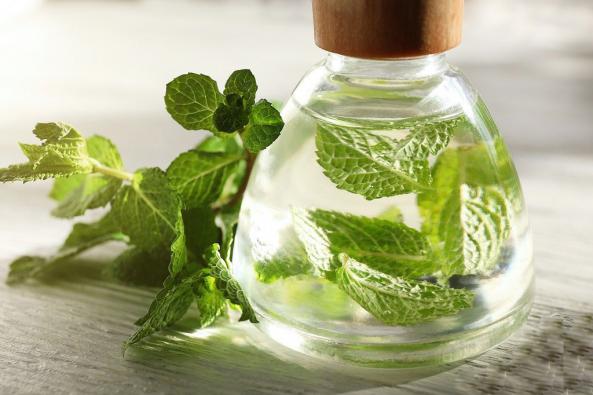 افزایش انرژی بدن با مصرف عرق نعنا