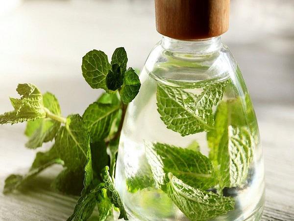 رفع خستگی جسمی با مصرف عرق نعنا