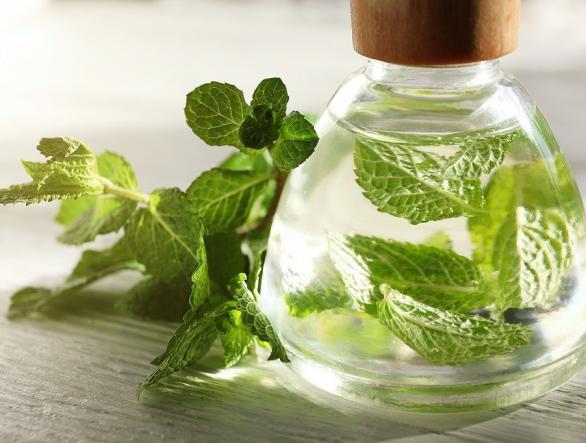 پخش عرق نعنا دو آتیشه کاشان