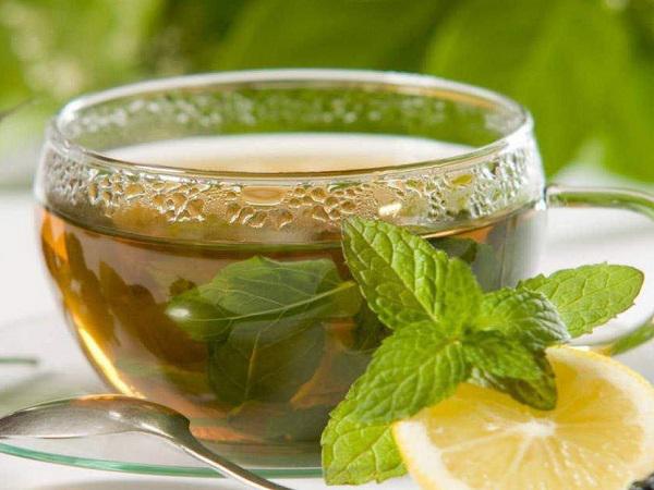 مرکز فروش عرق نعنا کاشان