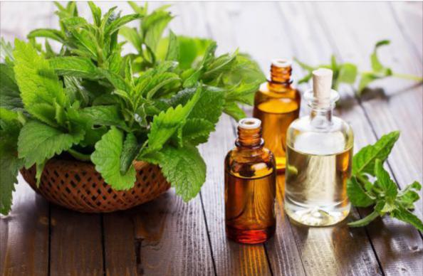 پخش مستقیم عرق نعنا سنتی