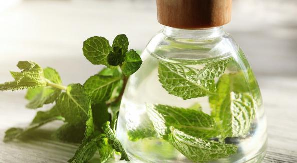 اطلاعات ضروری در خصوص خرید عرق نعنا