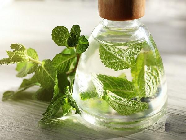 تسریع هضم غذا با مصرف عرق نعنا