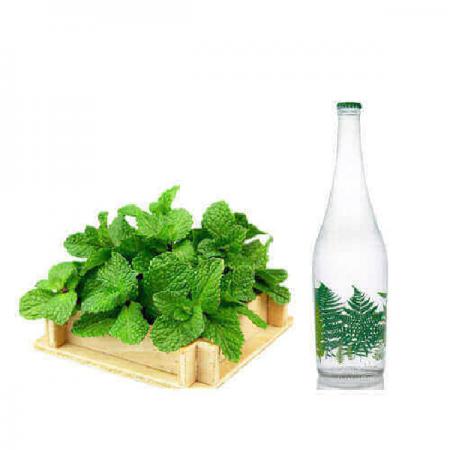 بررسی ارزش غذایی عرق نعنا