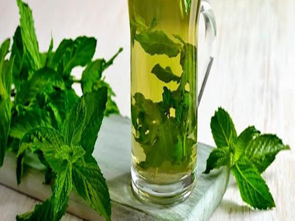 پخش مستقیم عرق نعنا دو لیتری