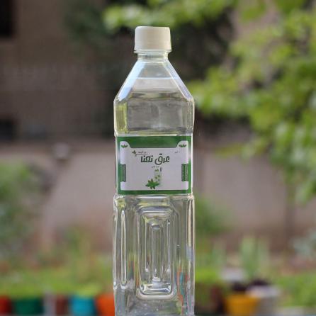 بهترین زمان برای خرید عرق نعنا