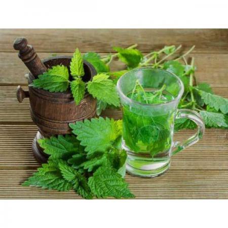 نحوه ی مصرف عرق نعنا در دوران بارداری